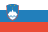 slovenski jezik slovenski jezik